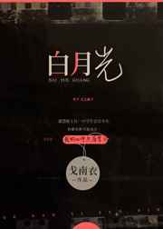 成都公交老年卡年检