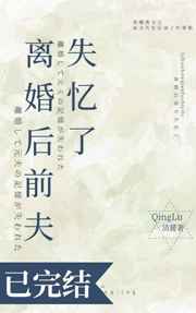 清麓代嫁夫郎是个爷无防盗